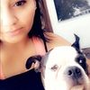 yonett2288